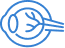 Офталмология
